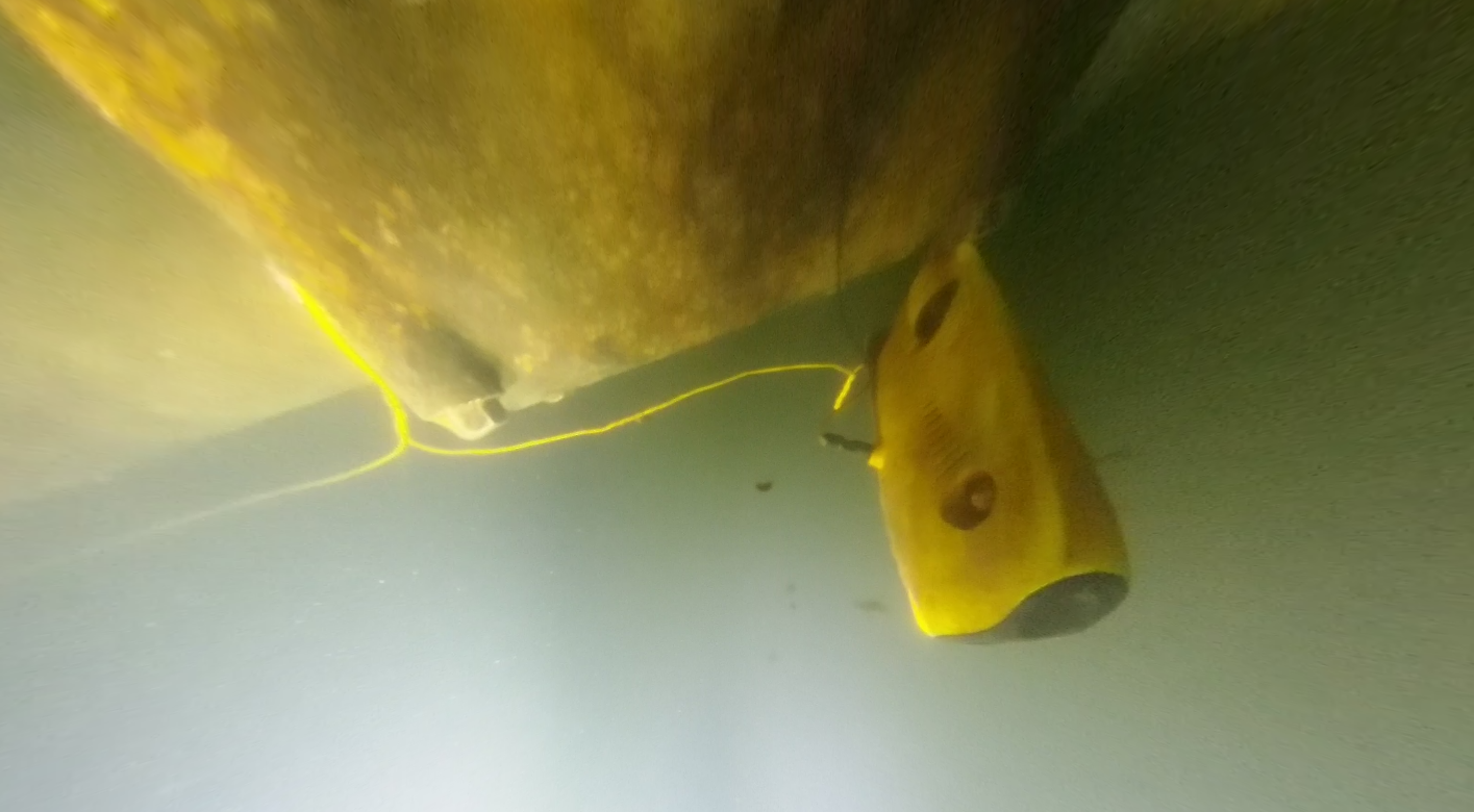 barreleye_mobile