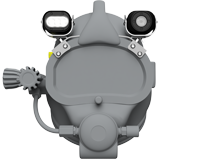 barreleye